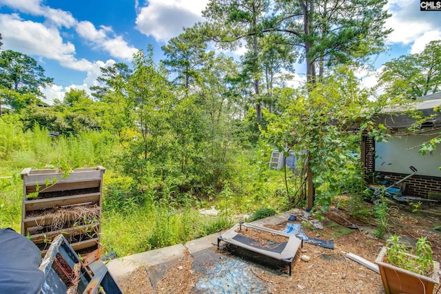 2900 N Beltline Blvd, Columbia, SC 29204 - view of yard with a vegetable garden