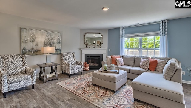 living room with hardwood / wood-style floors