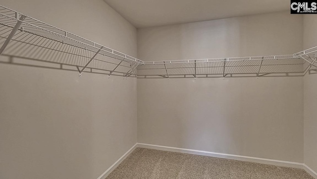 walk in closet featuring carpet