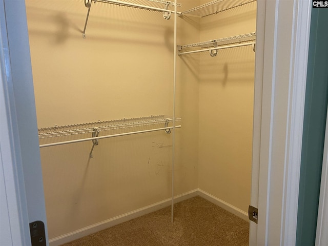 spacious closet featuring dark carpet