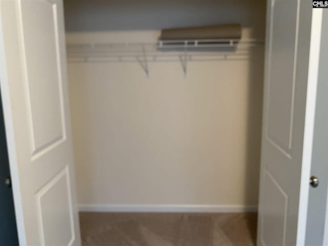 view of closet