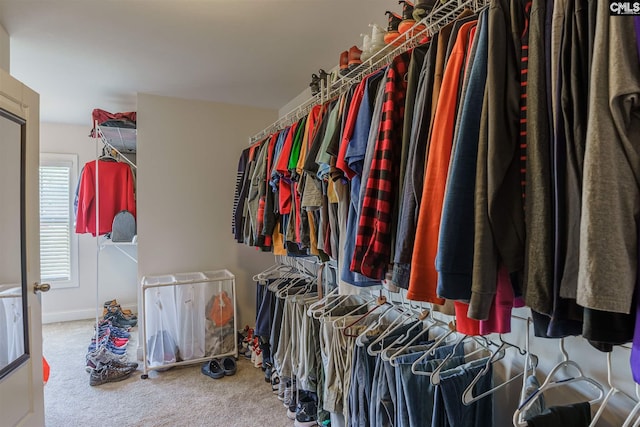 walk in closet with light carpet