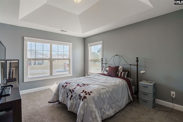 carpeted bedroom with a raised ceiling
