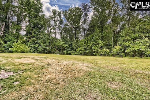 4211 Mikell Ln, Columbia SC, 29205 land for sale