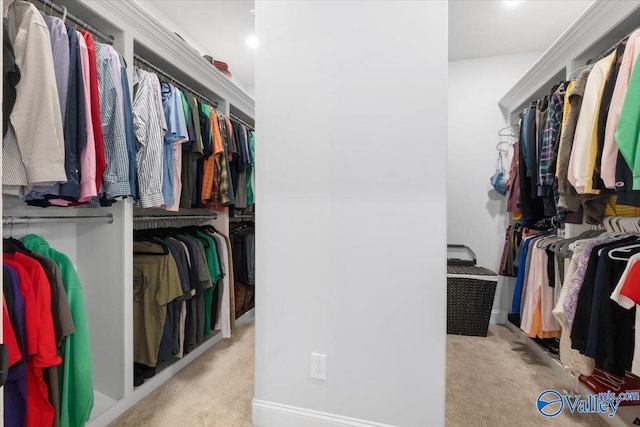 spacious closet featuring light carpet