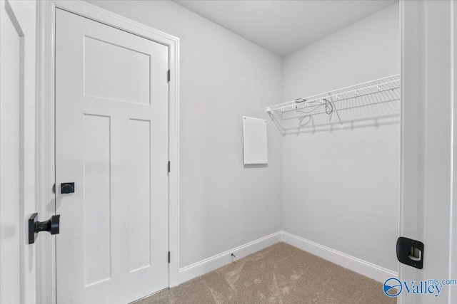 spacious closet with carpet floors