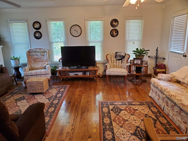 living room featuring ceiling fan, ornamental molding, and wood-type flooring