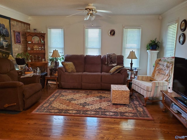 living room featuring ornamental molding, dark wood-type flooring, and ceiling fan