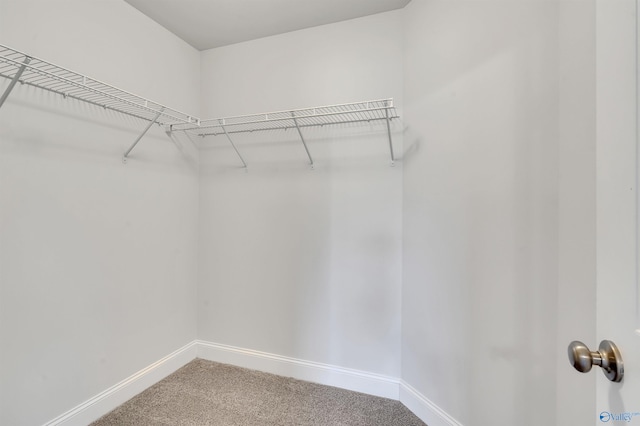 walk in closet with carpet