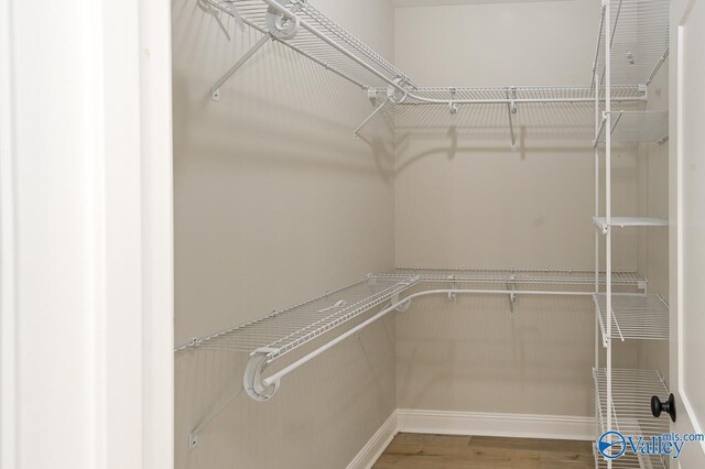 walk in closet with wood-type flooring