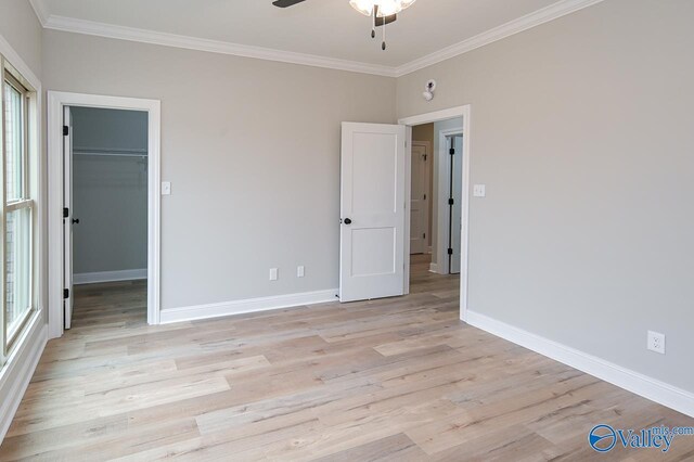 unfurnished bedroom featuring crown molding, ceiling fan, light wood-type flooring, and a walk in closet