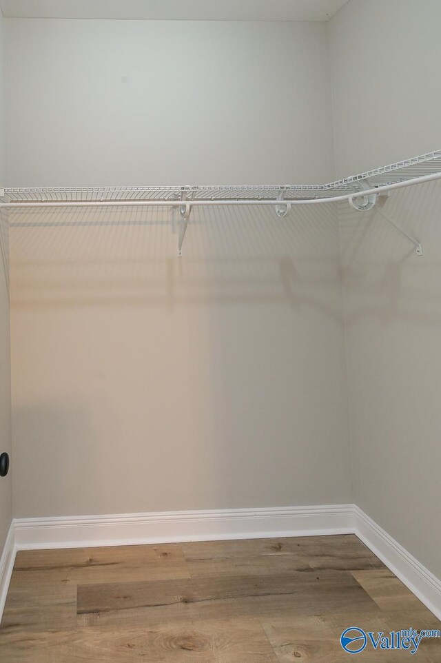 spacious closet featuring hardwood / wood-style flooring