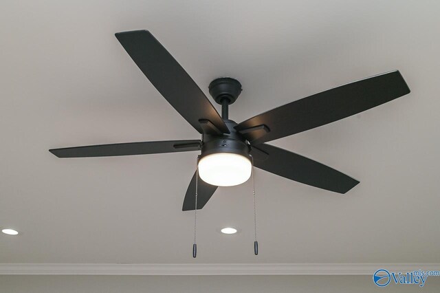 room details with ornamental molding and ceiling fan