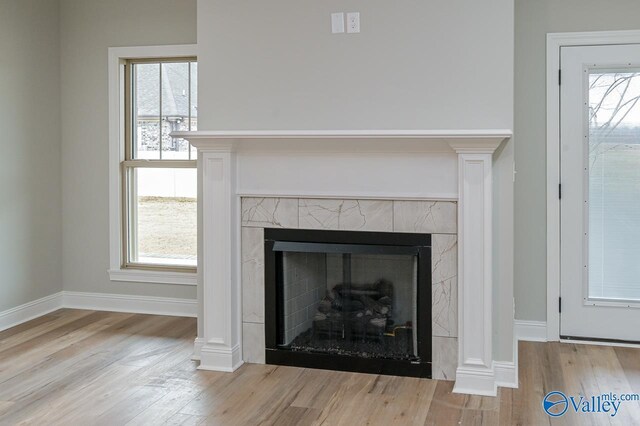 details featuring a premium fireplace, hardwood / wood-style floors, and ornate columns