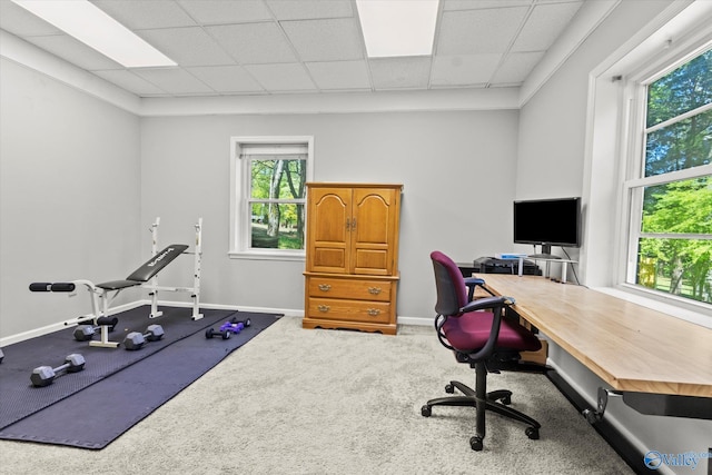 carpeted office with a paneled ceiling