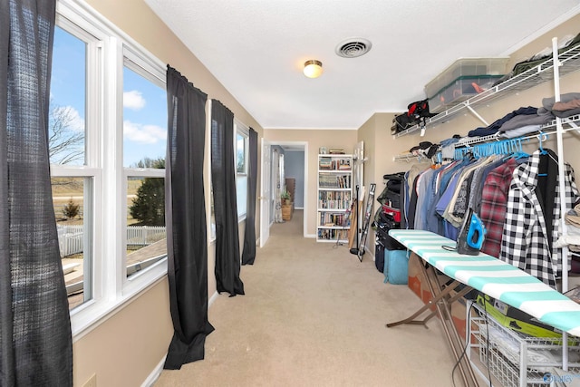 16904 Linton Rd, Athens, AL 35613 - walk in closet with carpet