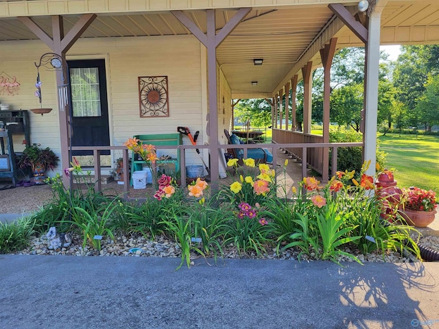 16904 Linton Rd, Athens, AL 35613 - view of porch