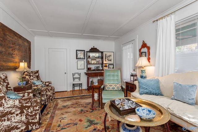 living room featuring hardwood / wood-style flooring