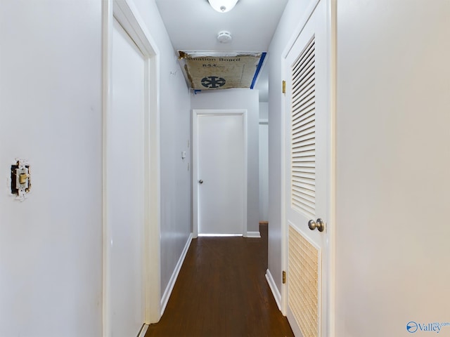 hallway with dark hardwood / wood-style flooring