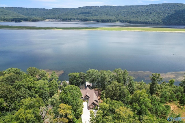 birds eye view of property with a water and mountain view