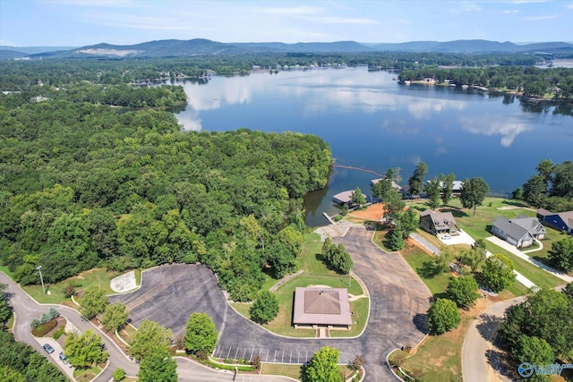 birds eye view of property featuring a water and mountain view