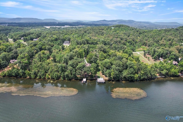 birds eye view of property with a water and mountain view