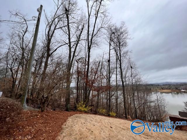 76 S Lakemont Dr N, Southside AL, 35907 land for sale