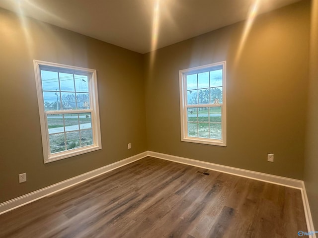 empty room featuring dark hardwood / wood-style floors and a wealth of natural light