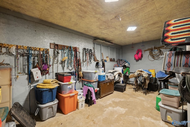 7734 Upper Snake Rd, Athens, AL 35614 - view of storage room