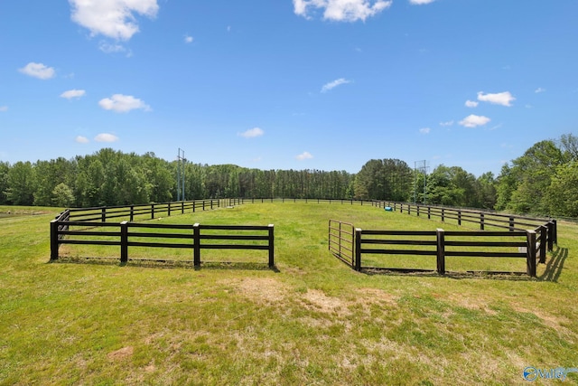 7734 Upper Snake Rd, Athens, AL 35614 - view of gate featuring a lawn and a rural view