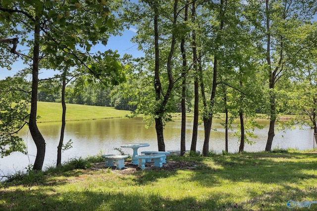 7734 Upper Snake Rd, Athens, AL 35614 - view of water feature