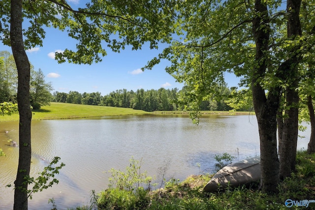 7734 Upper Snake Rd, Athens, AL 35614 - water view