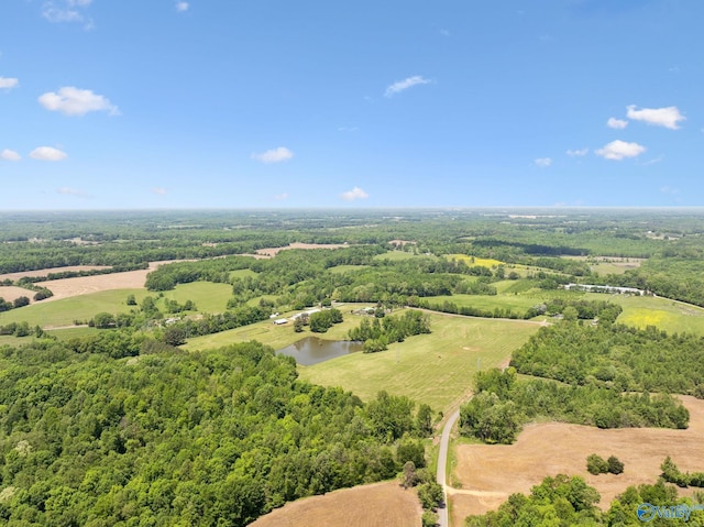 7734 Upper Snake Rd, Athens, AL 35614 - aerial view with a water view