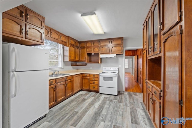 kitchen featuring under cabinet range hood, white appliances, a sink, light wood-type flooring, and brown cabinets