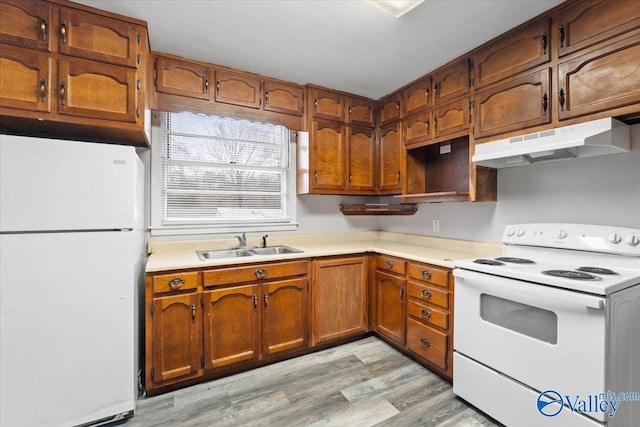 kitchen featuring under cabinet range hood, white appliances, a sink, light countertops, and light wood-type flooring