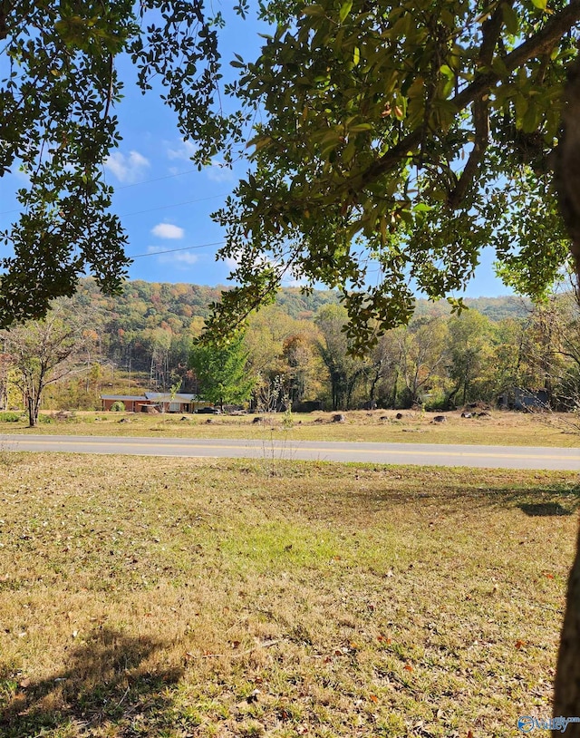 557 Cap Adkins Rd SE, Huntsville, AL 35803