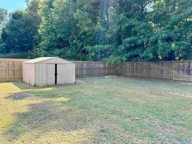 view of yard featuring a shed