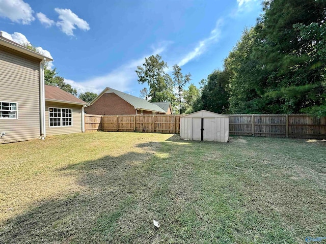 view of yard with a shed