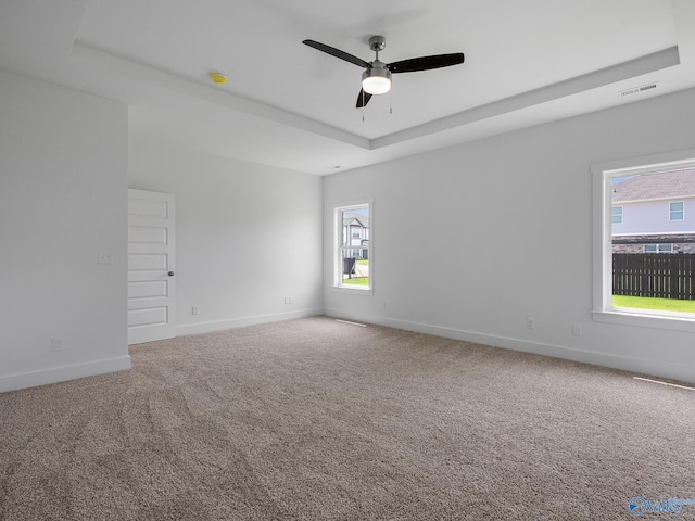 unfurnished room with plenty of natural light, carpet floors, and a raised ceiling