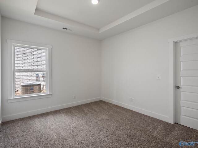 carpeted empty room with a raised ceiling