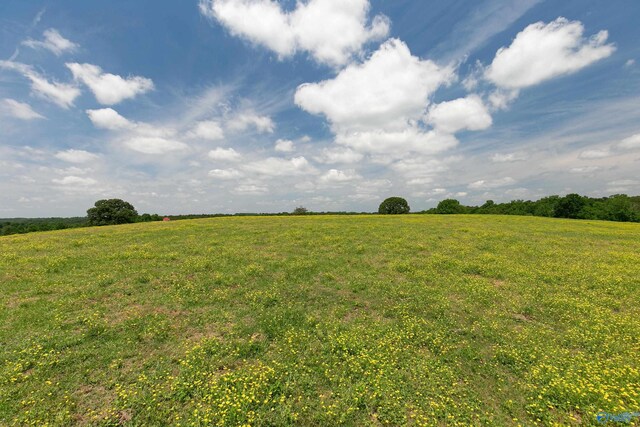 120.5ACRES County Road 974, Logan, AL 35098