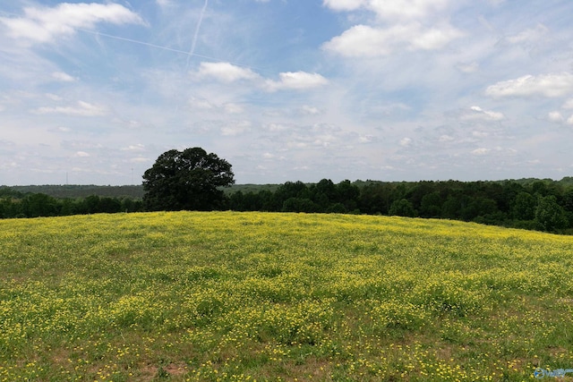 120.5ACRES County Road 974, Logan, AL 35098
