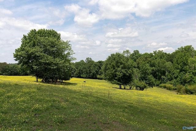 120.5ACRES County Road 974, Logan, AL 35098