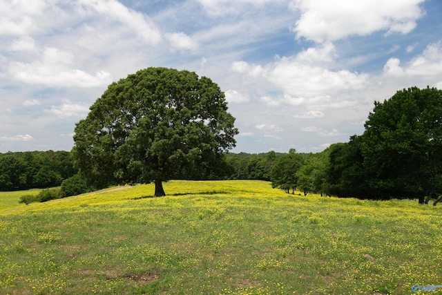120.5ACRES County Road 974, Logan, AL 35098