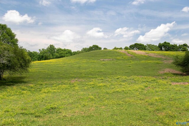 120.5ACRES County Road 974, Logan, AL 35098