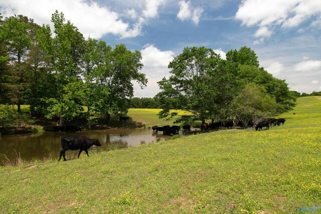 120.5ACRES County Road 974, Logan, AL 35098