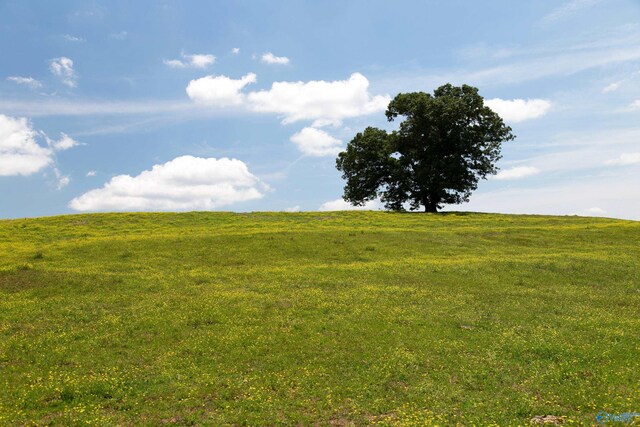 120.5ACRES County Road 974, Logan, AL 35098