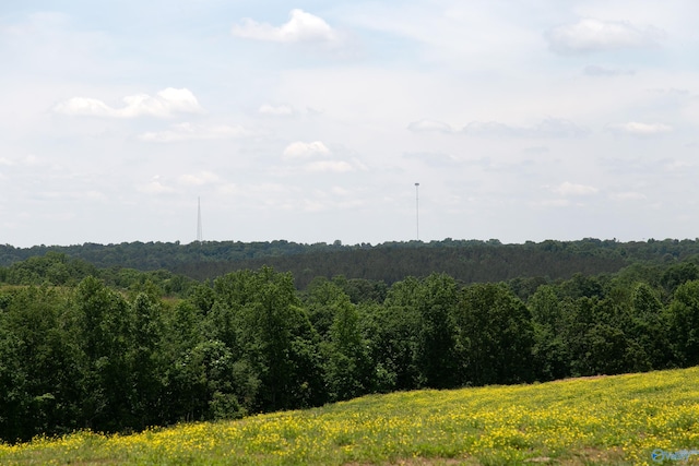 120.5ACRES County Road 974, Logan, AL 35098