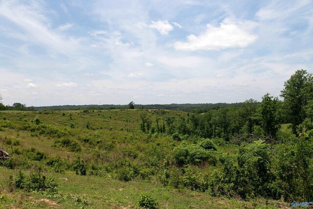 120.5ACRES County Road 974, Logan, AL 35098