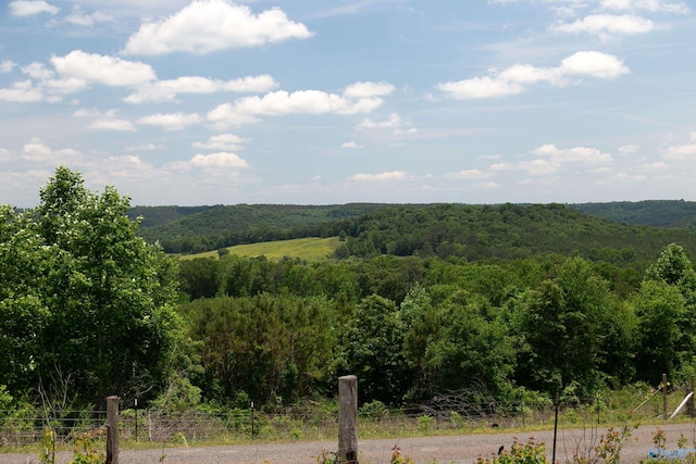 120.5ACRES County Road 974, Logan, AL 35098